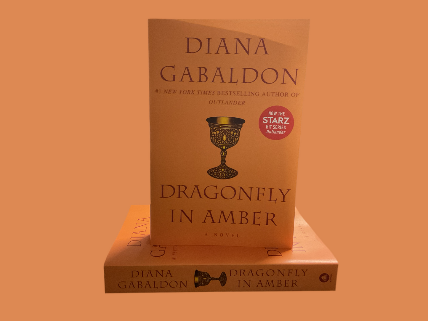 Dragonfly In Amber