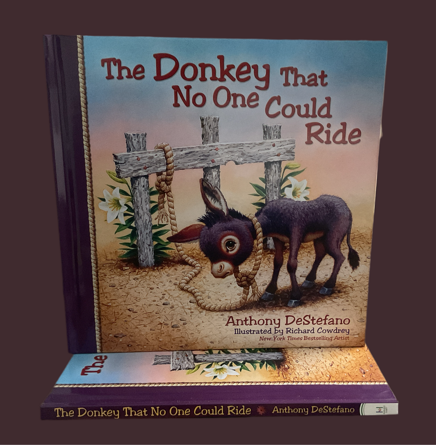 The Donkey That No One Could Ride