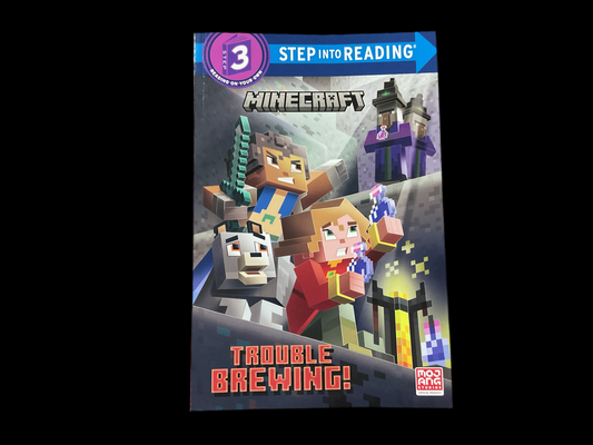 Minecraft- Step 3 reader
