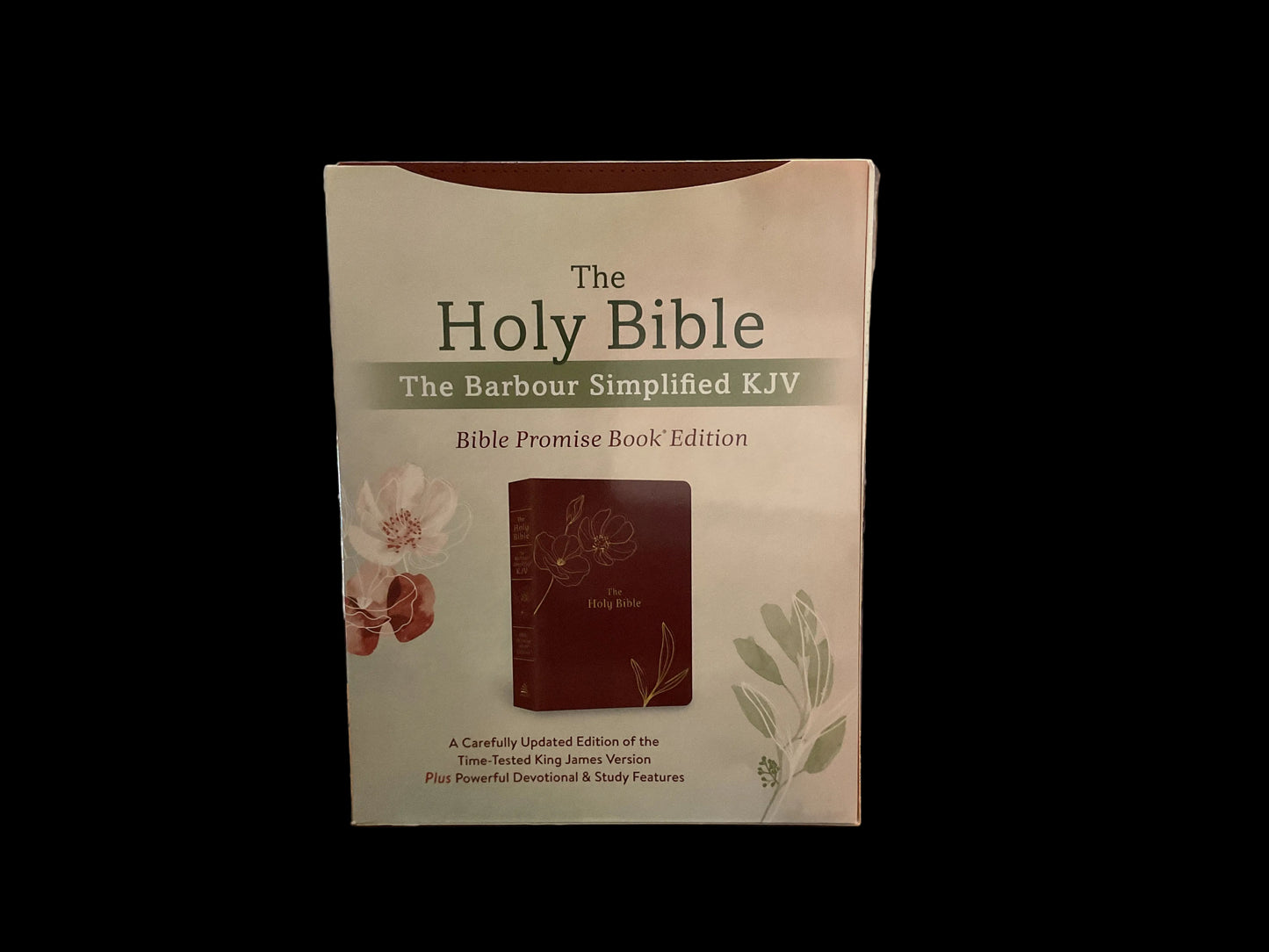 The Holy Bible- Simplified KJV Bible Promise Book Edition