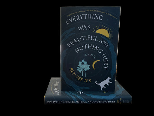 Everything was Beautiful and Nothing Hurt