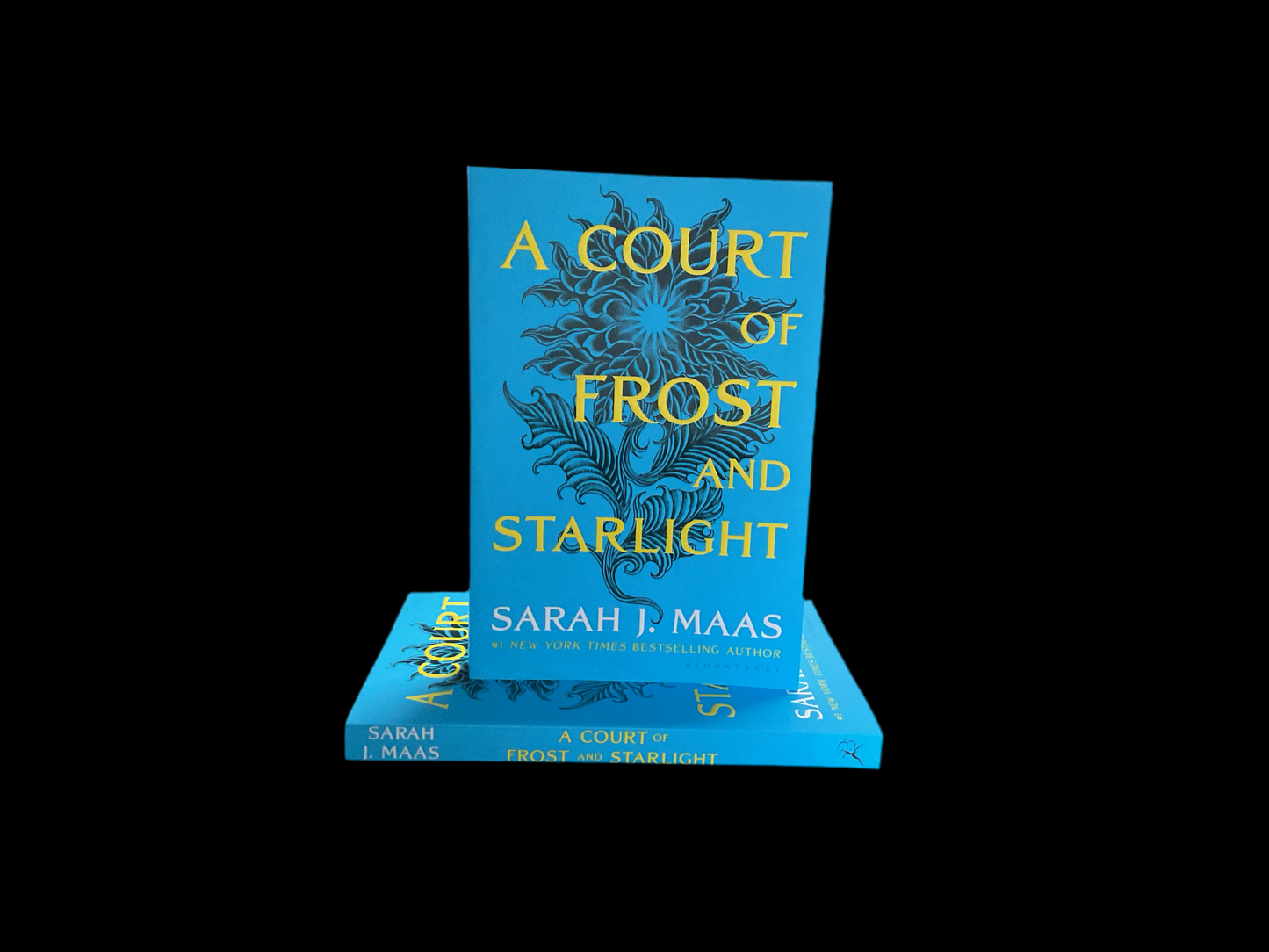 A Court Of Frost and Starlight